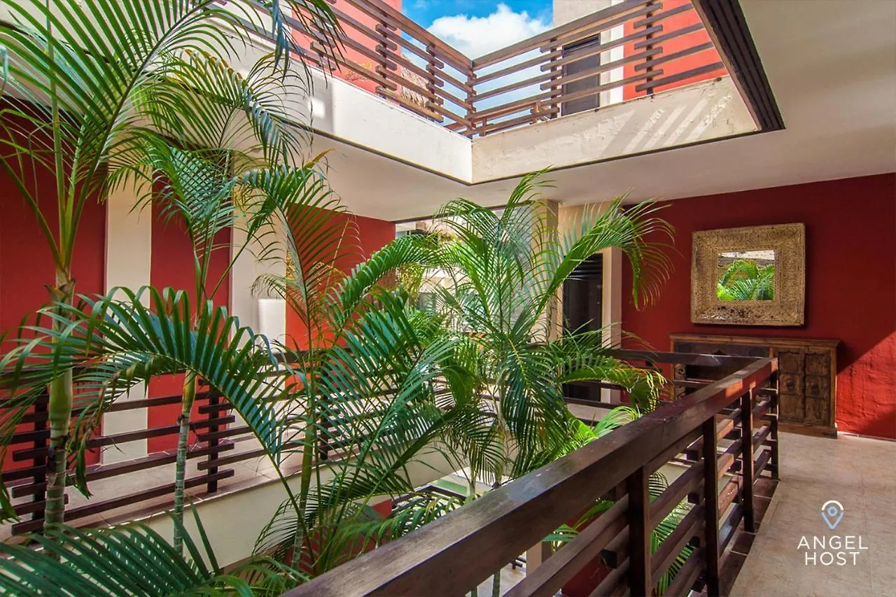 Magnificent Oceanview Rooftop Lounge With Plunge Pool Playa del Carmen