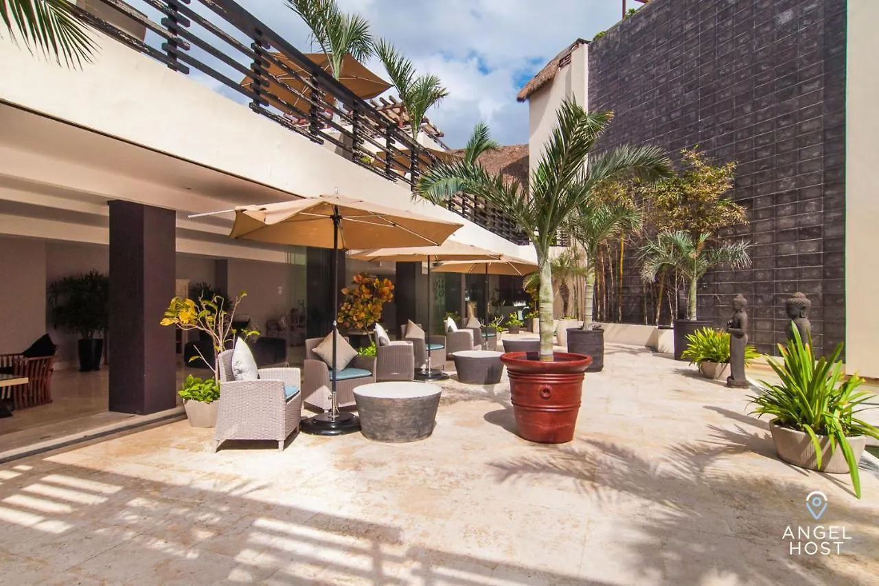 Magnificent Oceanview Rooftop Lounge With Plunge Pool Playa del Carmen 0*,